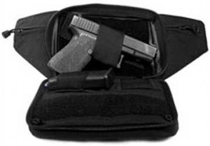 Blackhawk gun cases