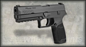 Sig Factory Magazines